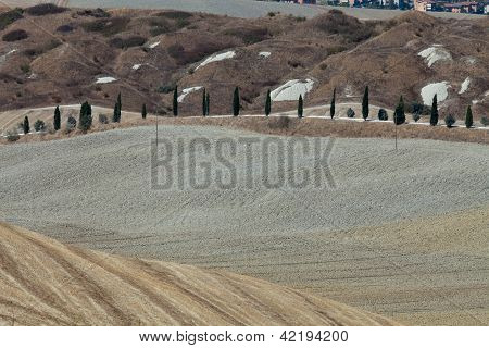 Senesi เกาะครีต