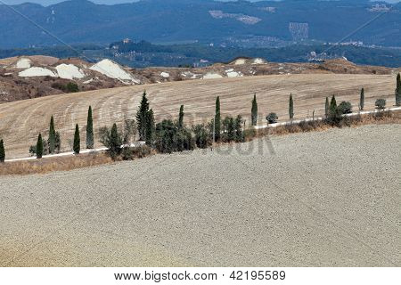 Senesi เกาะครีต