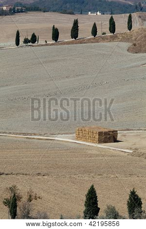 Senesi เกาะครีต
