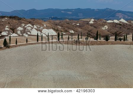 Senesi เกาะครีต