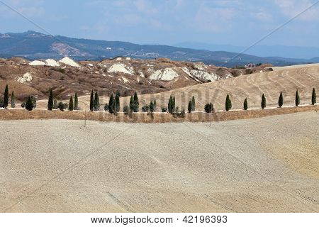 Senesi เกาะครีต