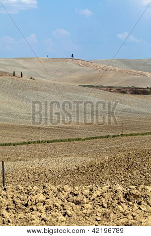 Senesi เกาะครีต