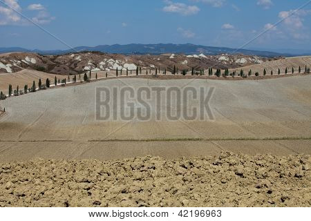 Senesi เกาะครีต