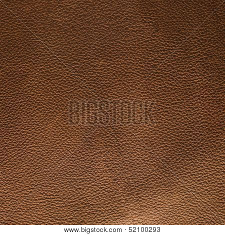 Brown Leather Texture Closeup