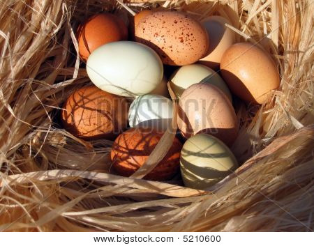 huevos