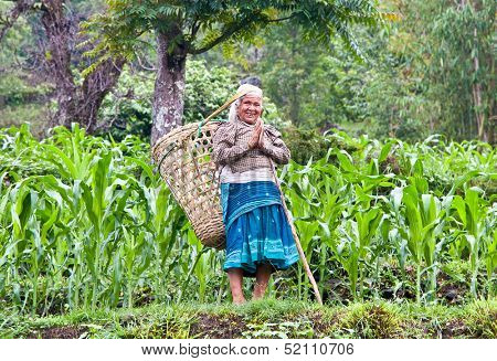 POKHARA - MAY 23: Nepalese women carry things in big basket at the traditional way, on May 23, 2013 in Pokhara, Nepal. 
