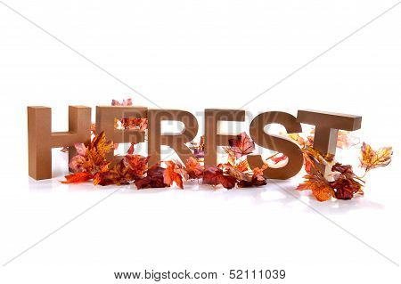 Fall