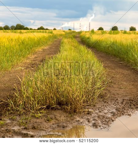country road