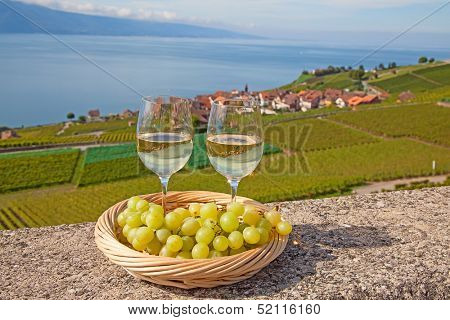 Vineyards of the Lavaux region over lake Leman (lake of Geneva)
