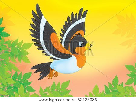 bramble finch