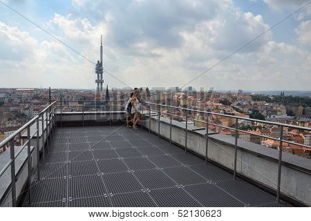 Prague panorama