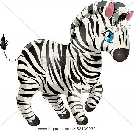 Zebra.eps
