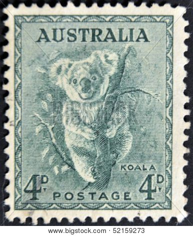 Australia - Circa 1937: Stamp Printed By Australia, Shows Koala, Circa 1937