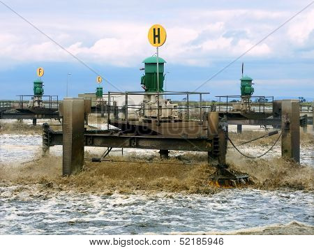 Western Treatment Plant Werribee