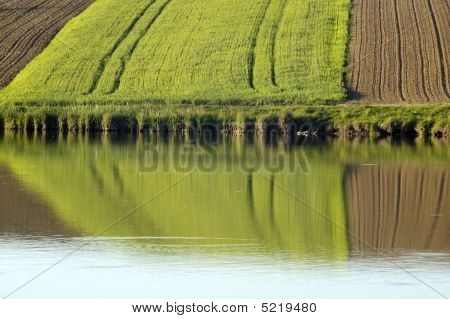 Felder am See