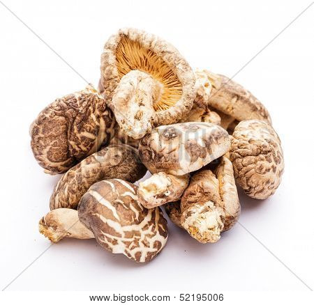 Dried mushroom isolated on white