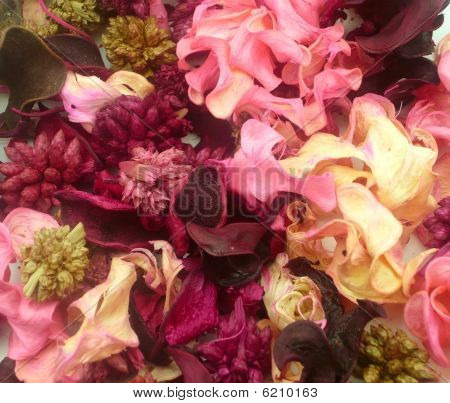 blumen dekoration