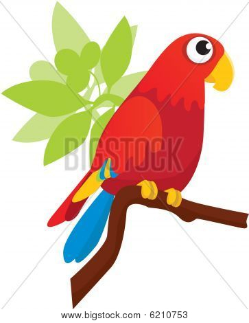 Greenwing Macaw