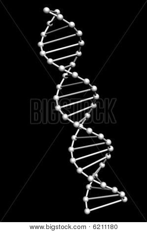 Dna model