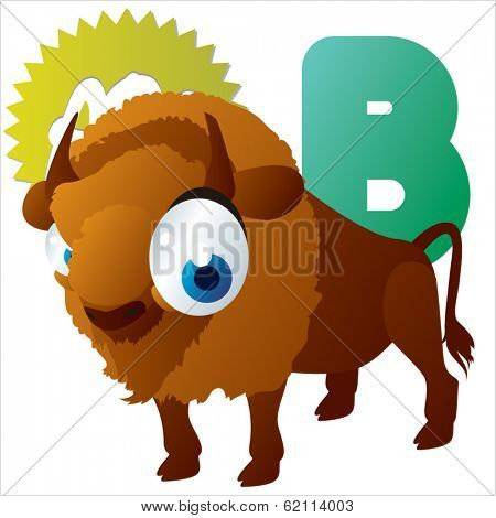 B is for Bison