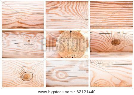 Wooden Wall. Sectioned Log