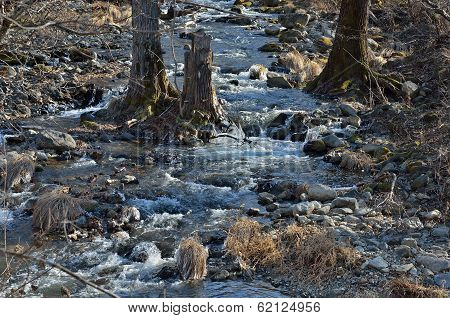 Woodsy Mountain River