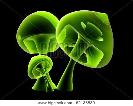 Translucent Mushrooms