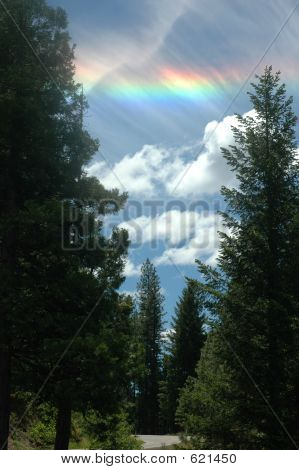 Sundog sopra strada
