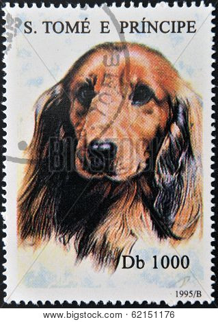 A stamp printed in Sao Tome shows a dog