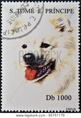 A stamp printed in Sao Tome shows a dog