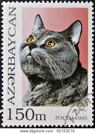 A stamp printed in Azerbaijan shows cat Chartreux