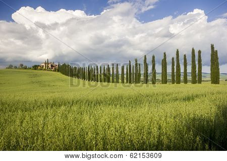 Tuscany (italy)