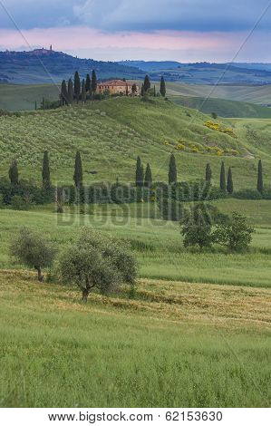 Tuscany (italy)