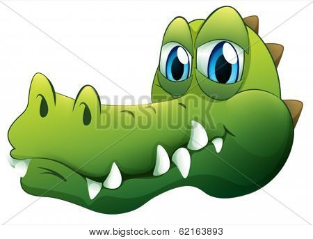 Illustration of a head of a crocodile on a white background