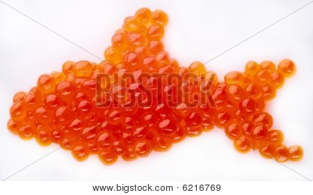 Caviar