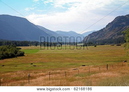 Farmers Field