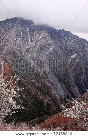 Mist Covered Mountain