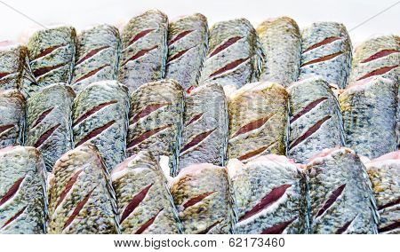 Fresh Fishes