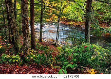 Flowing River - Near Ragged Falls