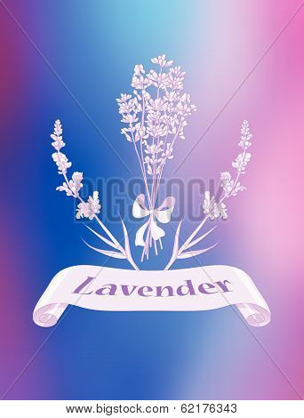 Lavender product label