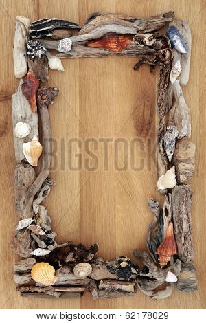 Driftwood and sea shell abstract border over oak wood background.