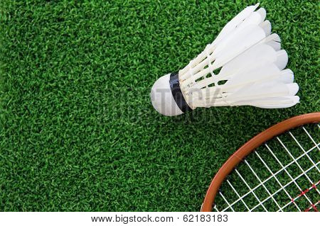 shuttlecock on court
