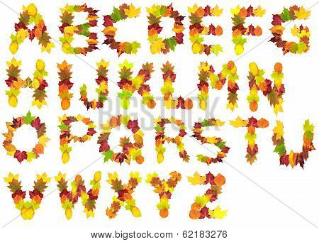 Autumn Leaf Alphabet