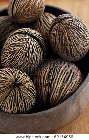 dry coconut home decorate