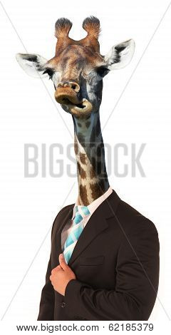 Funny Giraffe Man Concept