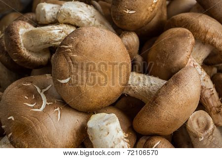 Fresh Shiitake Mushroom .
