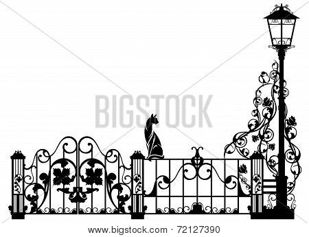 Cat And Bird