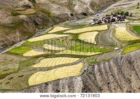 Skyumpata Village - Beautiful Village In Zanskar Trek