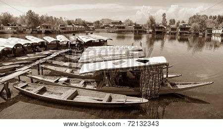 Shikara Boats On Dal Lake With Houseboats