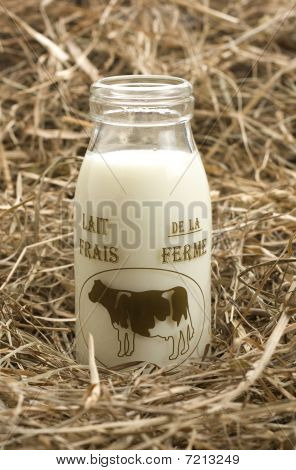 Bottle with milk on haystack